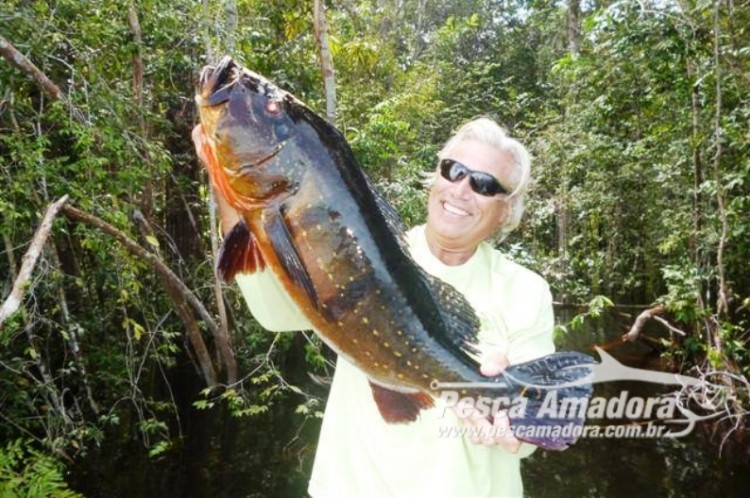 Normatização da Pesca Esportiva pode auxiliar no combate a pesca predatória no Amazonas